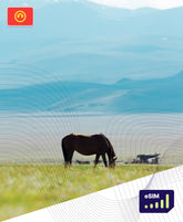 Kyrgyzstan eSIM Plans - Roamight